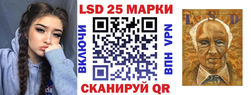 где купить   Зубцов  mega ТОР  Наркотические марки 1500мкг 