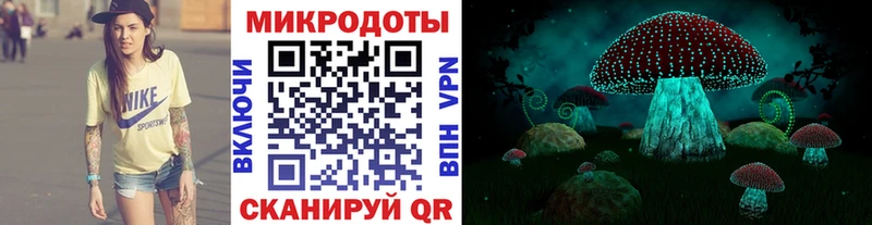 цена Зубцов Галлюциногенные грибы MAGIC MUSHROOMS